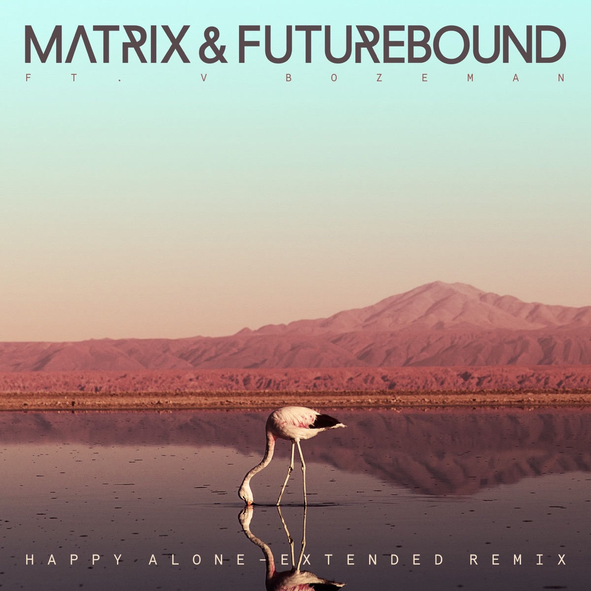 Happy Alone (feat. V. Bozeman) [Extended Mix] - Single by Matrix & Futurebound album cover