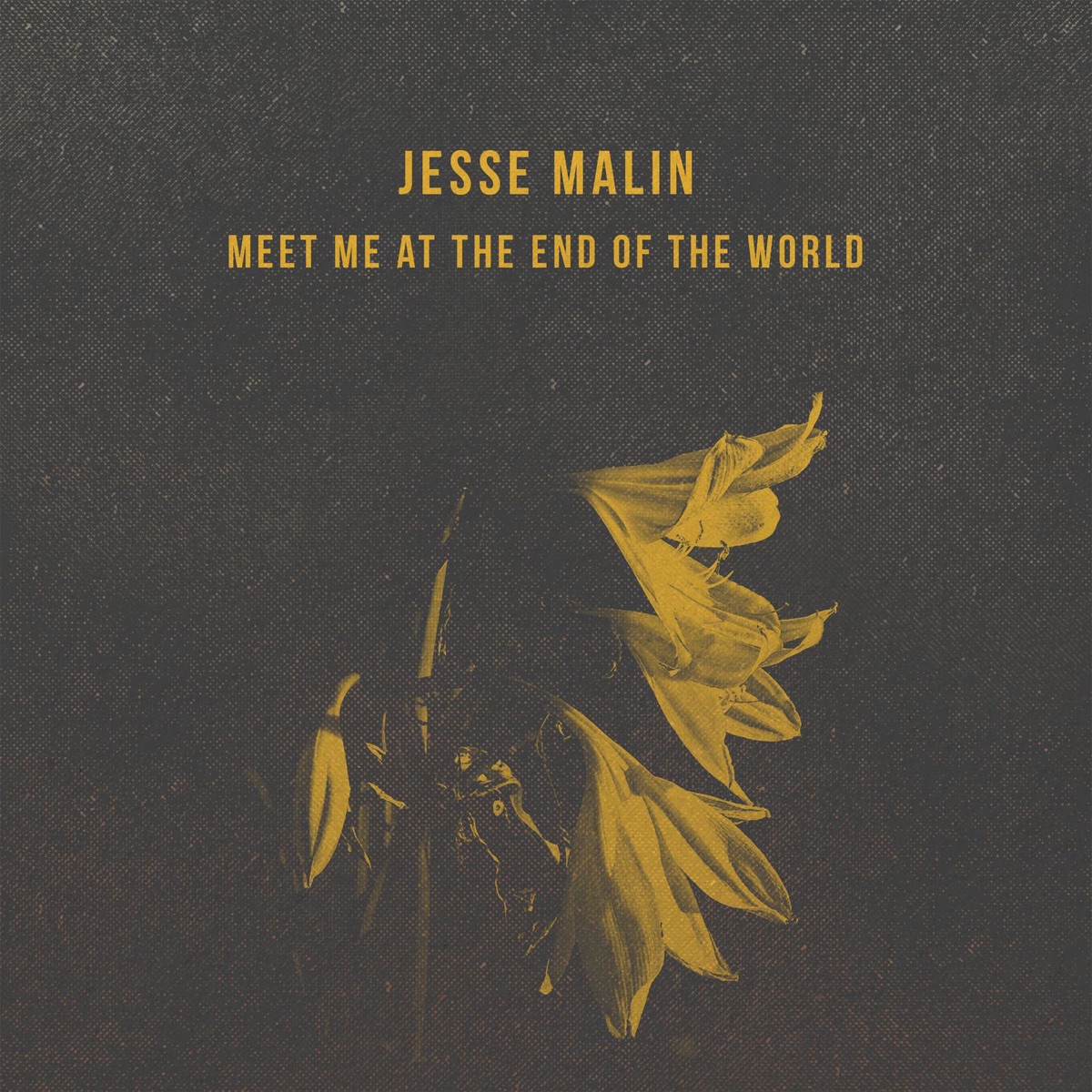Meet Me at the End of the World - EP by Jesse Malin album cover