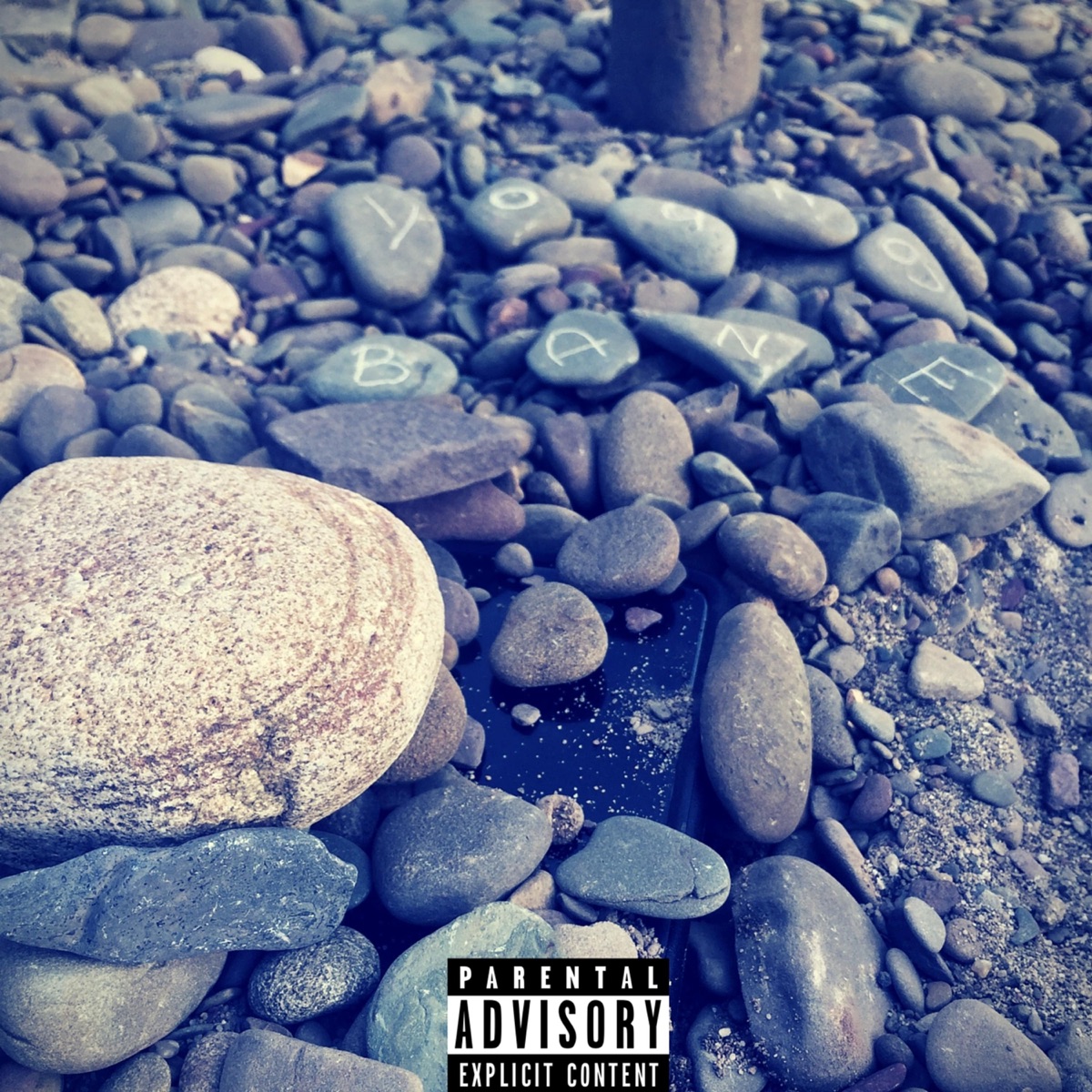 Book of Freestyles by Young Bane album cover