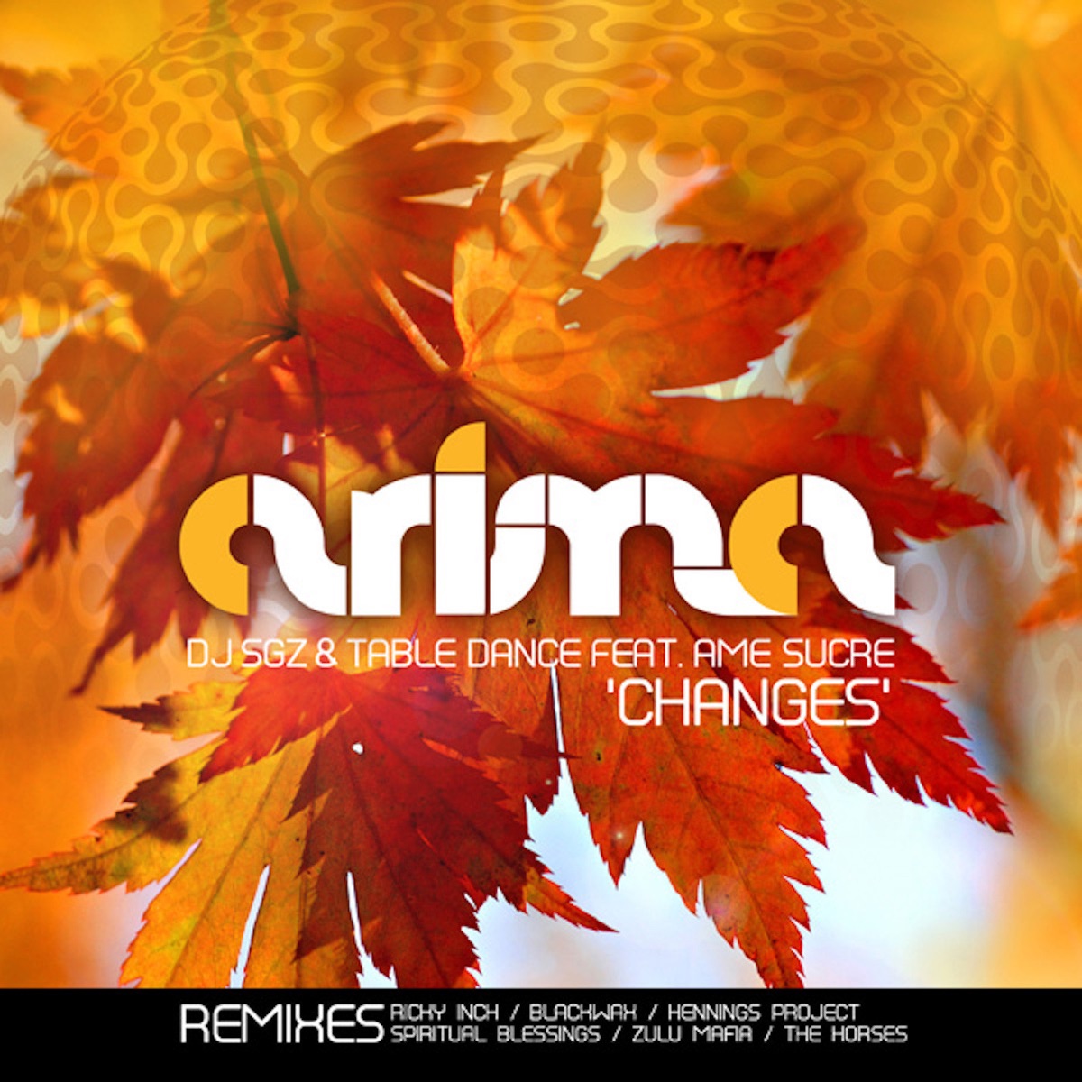 Changes (feat. Ame Sucre) by DJ SGZ & Table Dance album cover