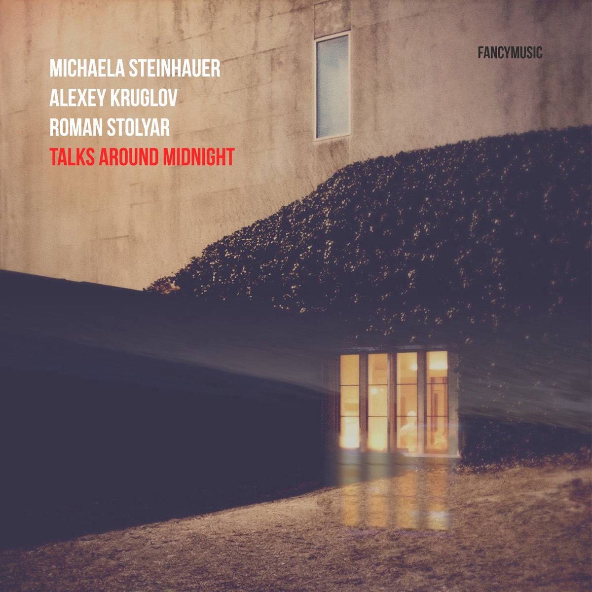 Talks Around Midnight by Michaela Steinhauer, Alexey Kruglov & Roman Stolyar album cover