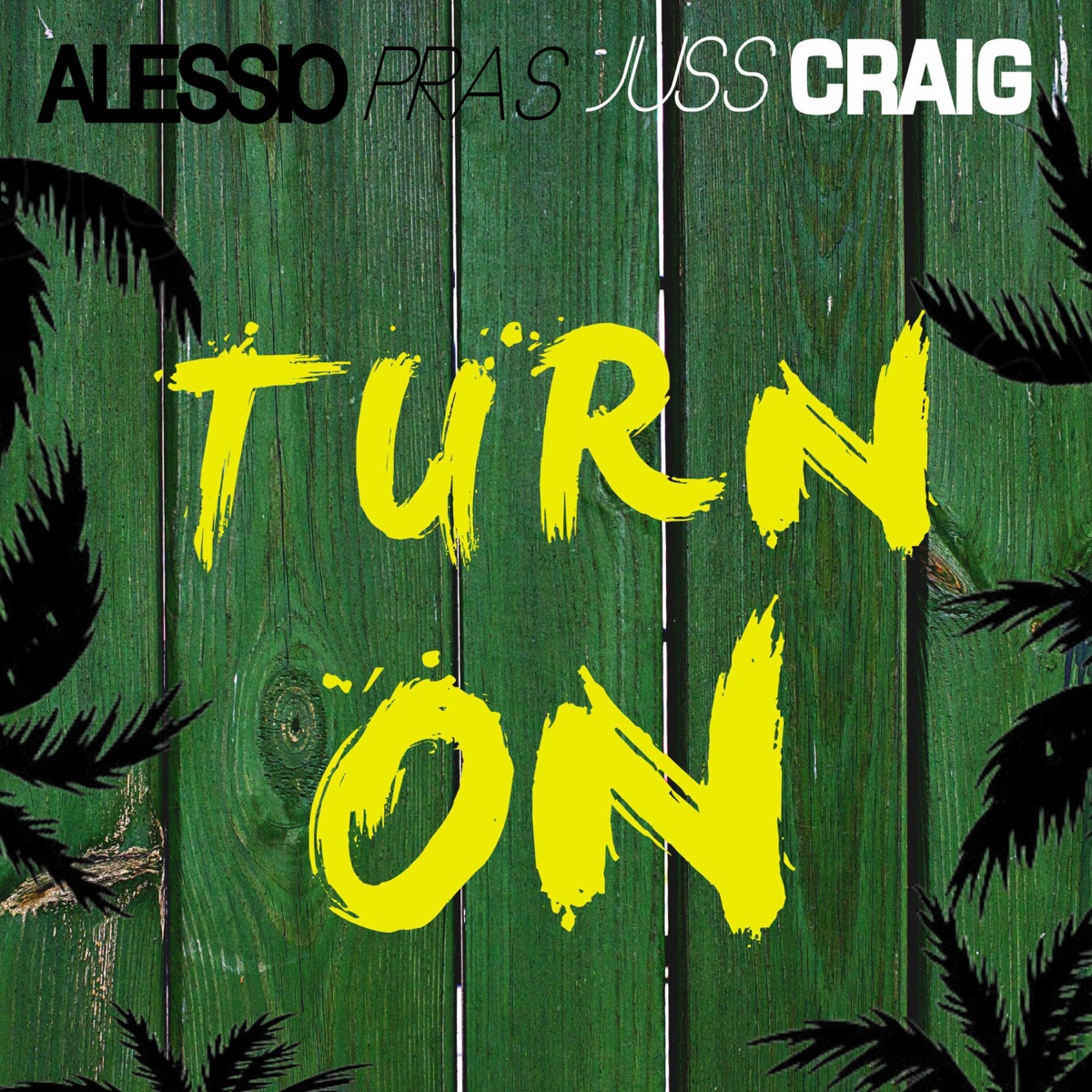 Turn On (feat. Juss Craig) - Single by Alessio Pras album cover