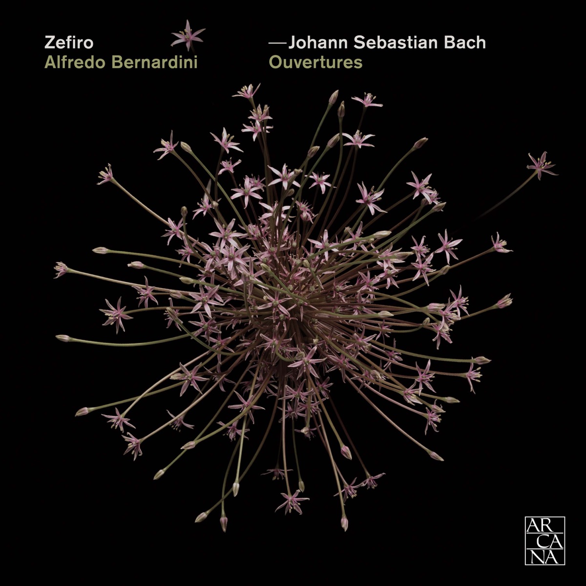 Bach: Ouvertures by Ensemble Zefiro & Alfredo Bernardini album cover