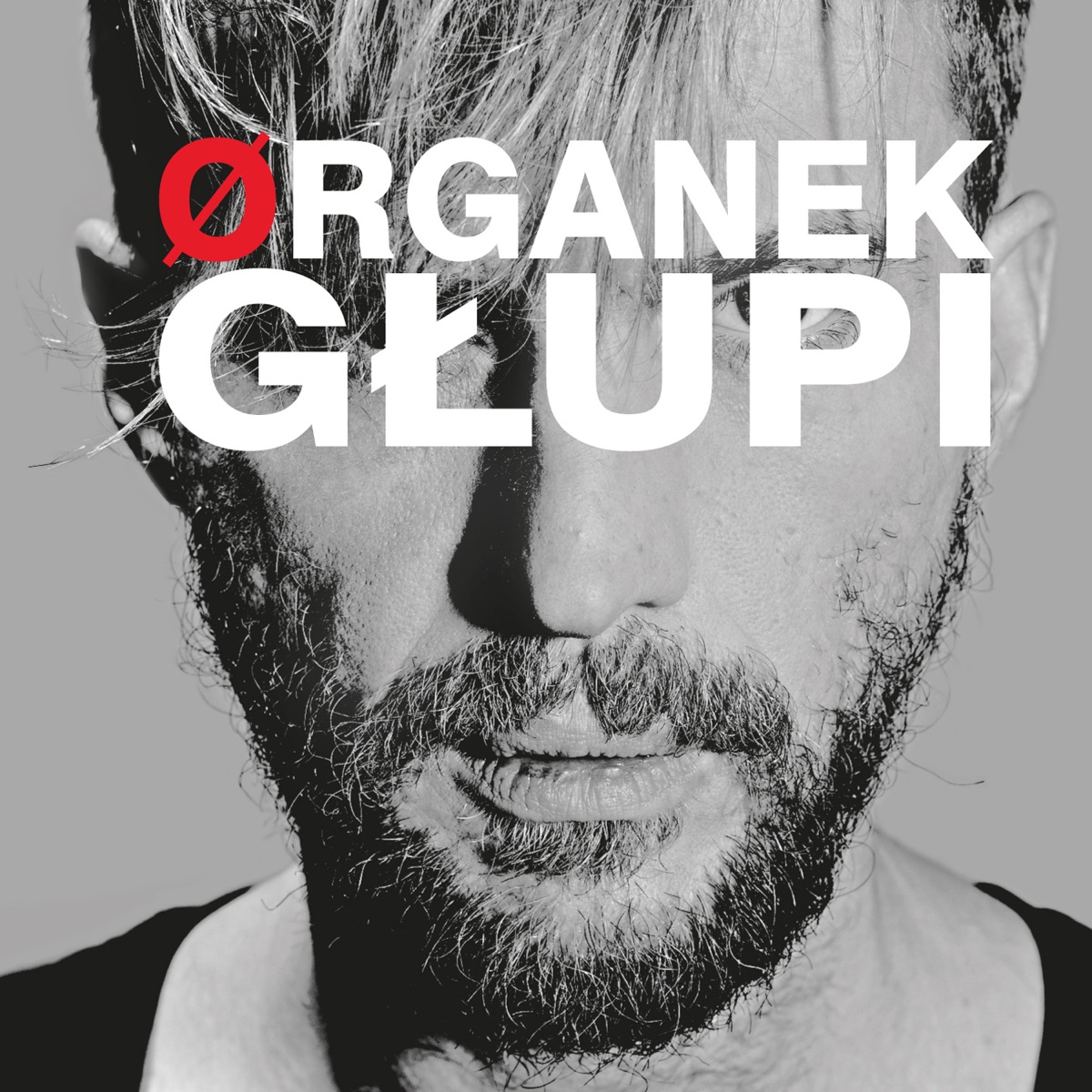 Głupi by Organek album cover