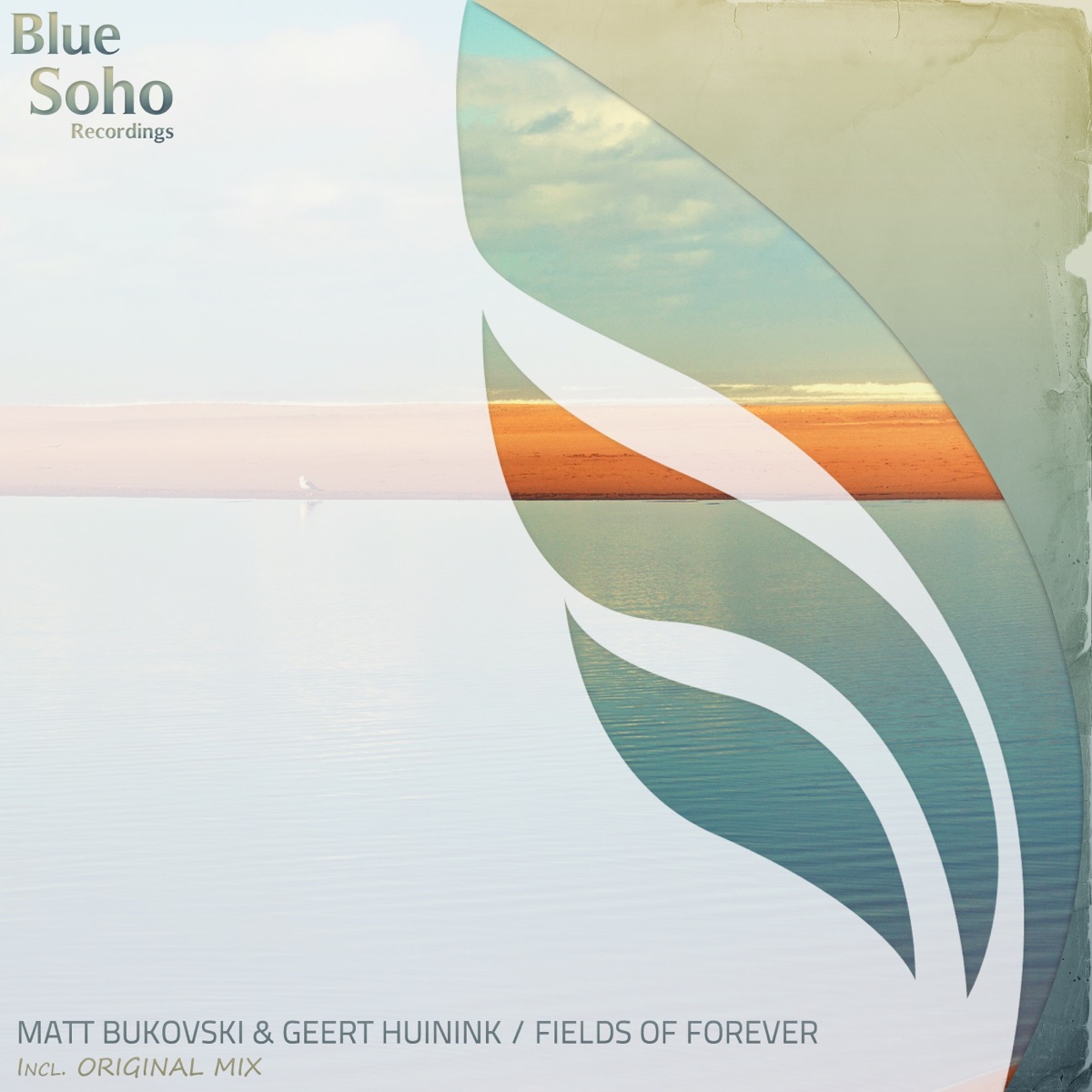 Fields of Forever - Single by Matt Bukovski & Geert Huinink album cover