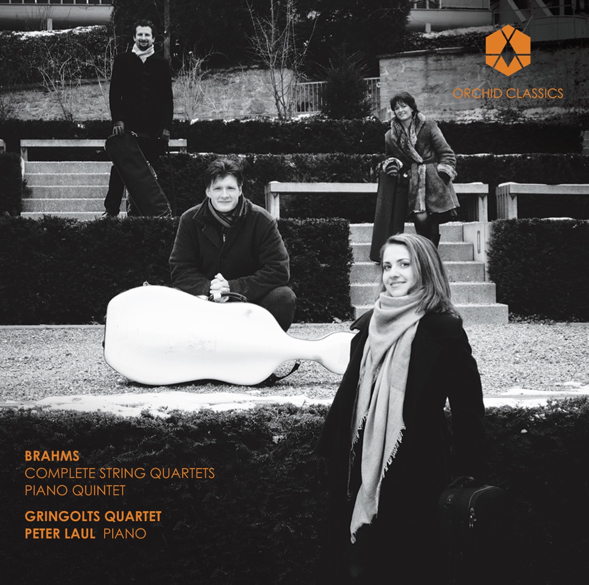 Brahms: Complete String Quartets & Piano Quintet by Gringolts Quartet & Peter Laul album cover