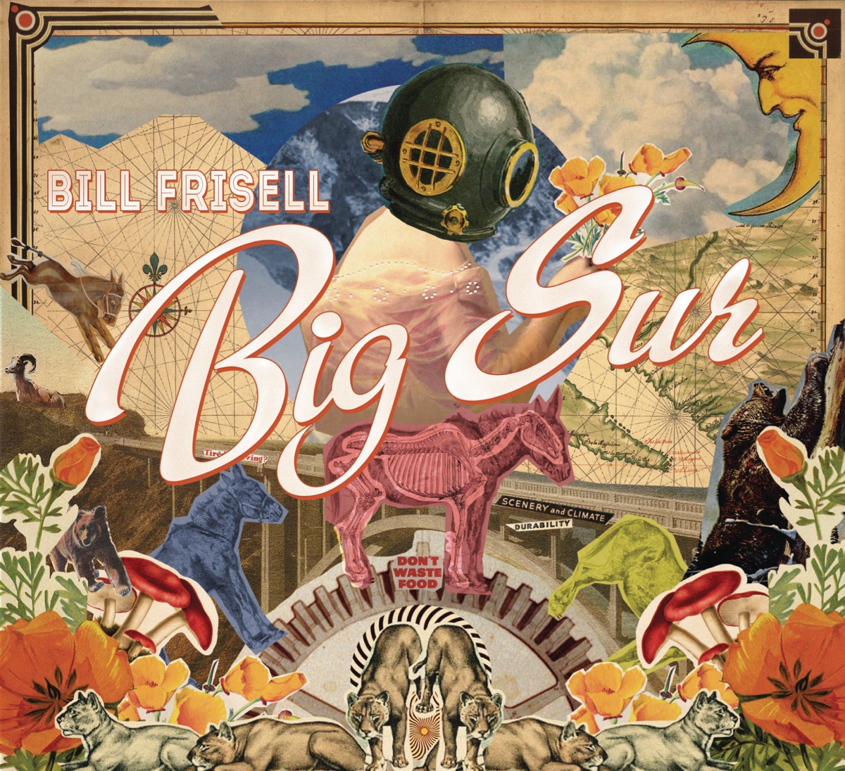 Big Sur by Bill Frisell album cover