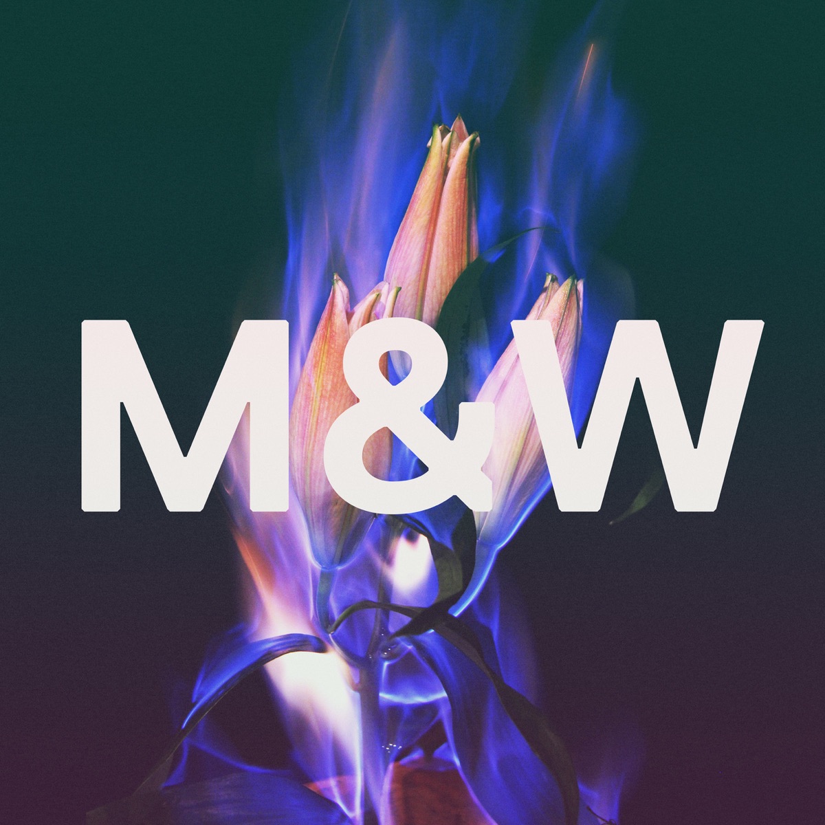 Love a Little More - EP by Moon & WALKER album cover