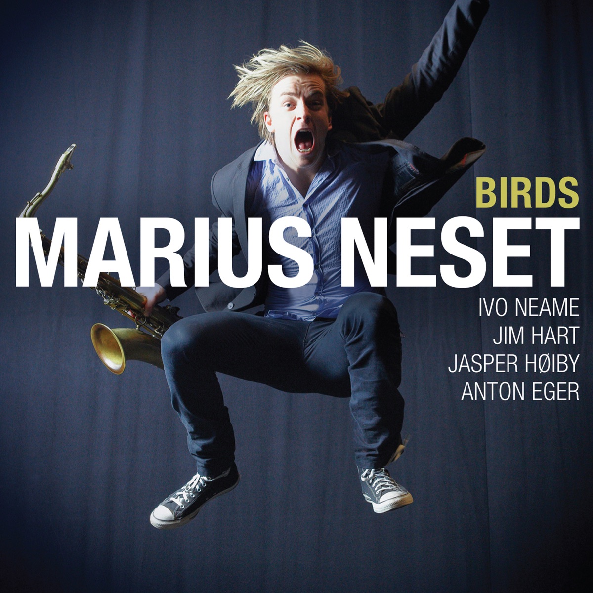 Birds (feat. Ivo Neame, Jasper Høiby, Jim Hart & Anton Eger) by Marius Neset album cover