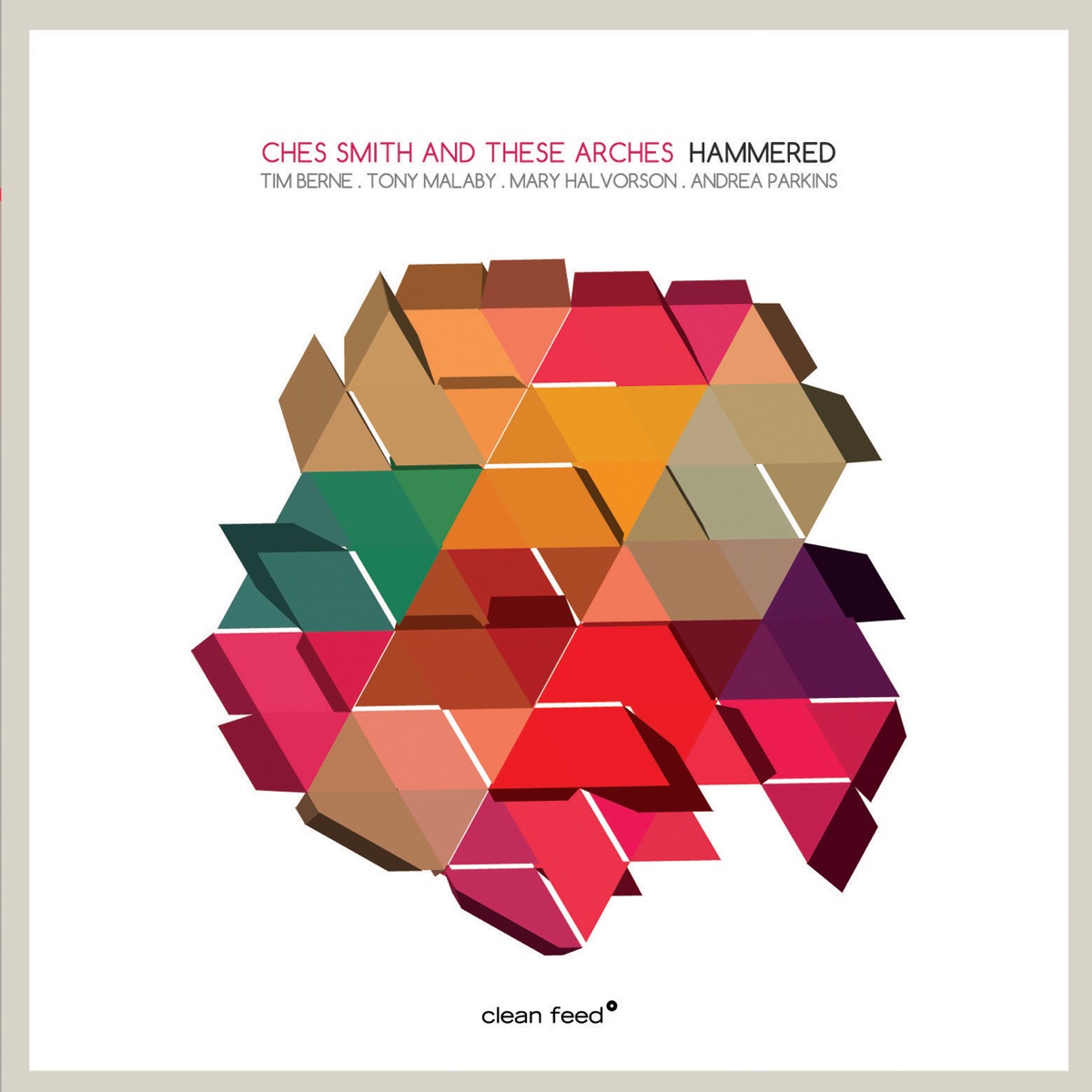 Hammered (feat. Tim Berne, Tony Malaby, Mary Halvorson & Andrea Parkins) by Ches Smith & These Arches album cover