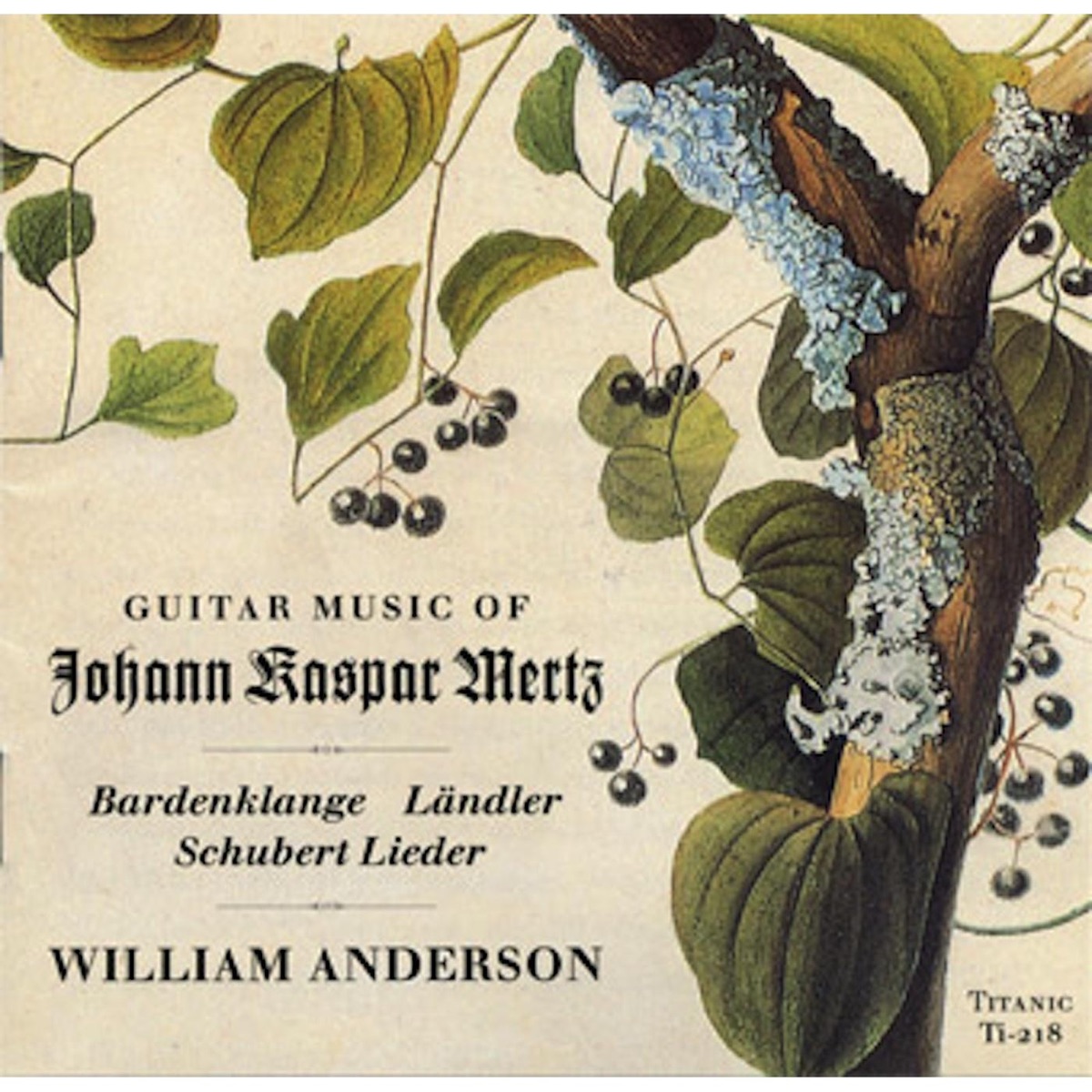 Music of Johann Kaspar Mertz by William Anderson album cover