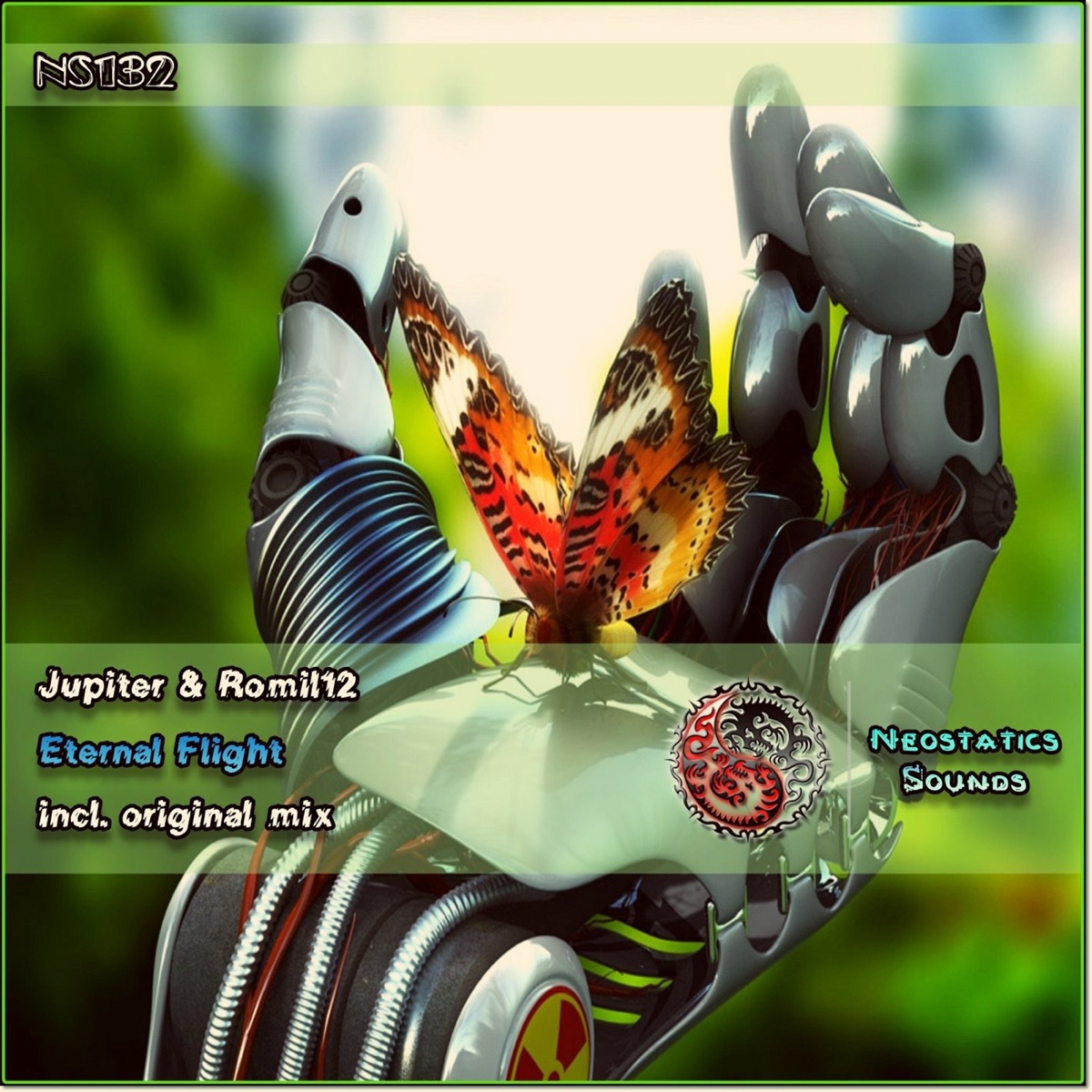 Eternal Flight - Single by Jupiter & Romil12 album cover