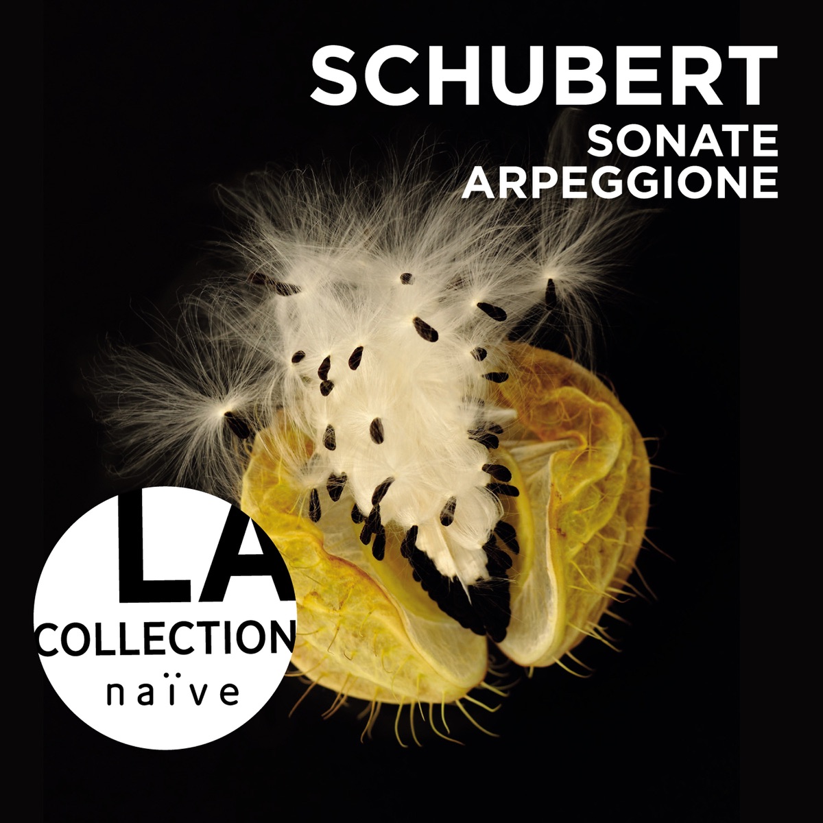 Schubert: Sonate Arpeggione by Anne Gastinel & Claire Désert album cover
