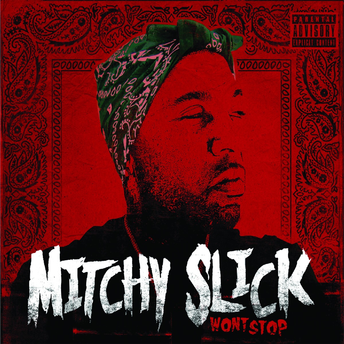 Won't Stop by Mitchy Slick album cover