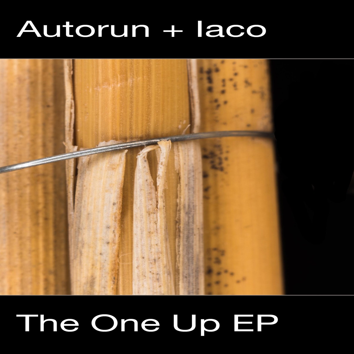 The One Up - Single by Autorun & IACO album cover