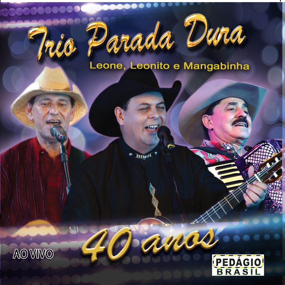 Trio Parada Dura 40 Anos (Ao Vivo) by Trio Parada Dura album cover