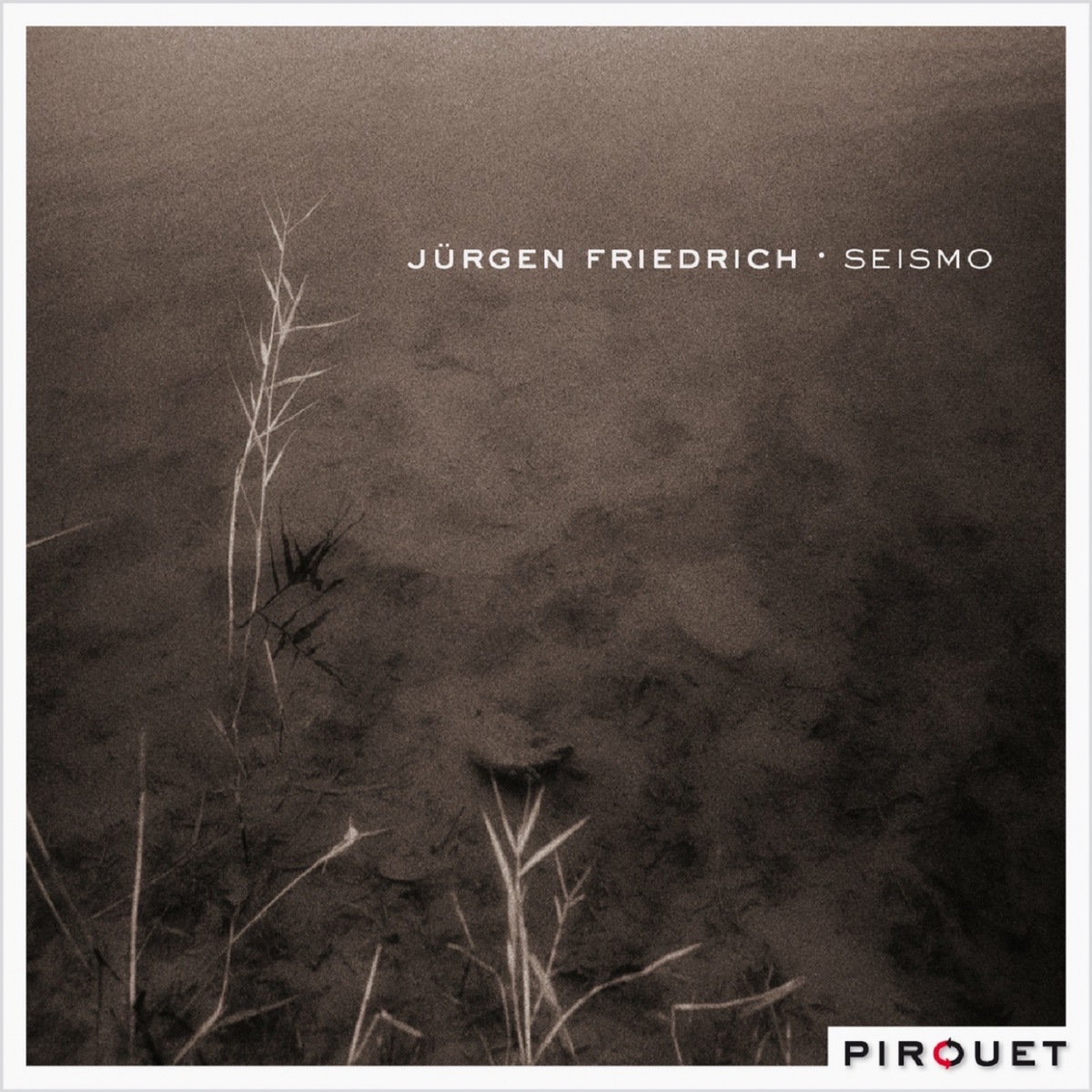 Seismo by Jürgen Friedrich, John Hebert & Tony Moreno album cover