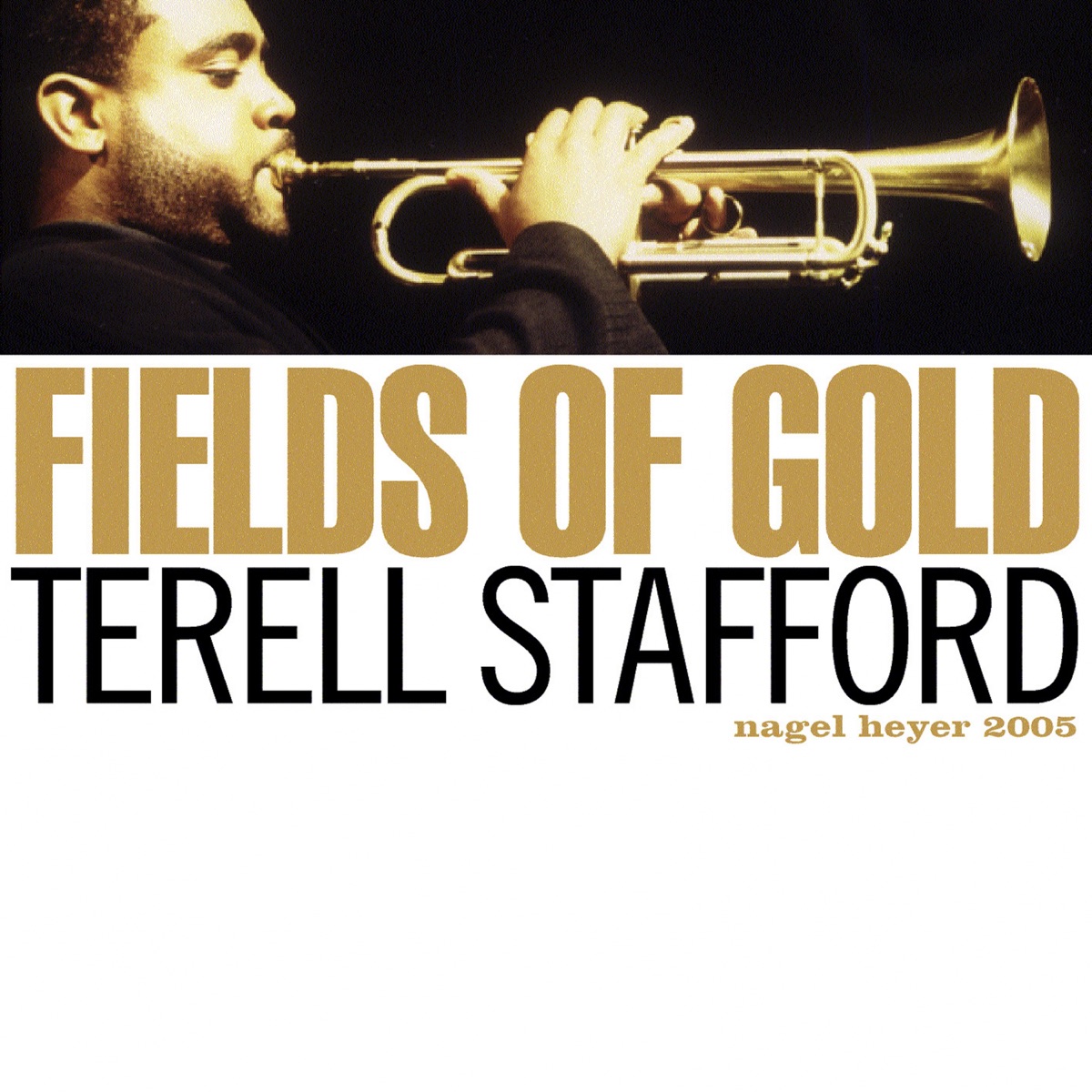 Fields of Gold (feat. Antonio Hart & Bill Cunliffe) by Terell Stafford album cover
