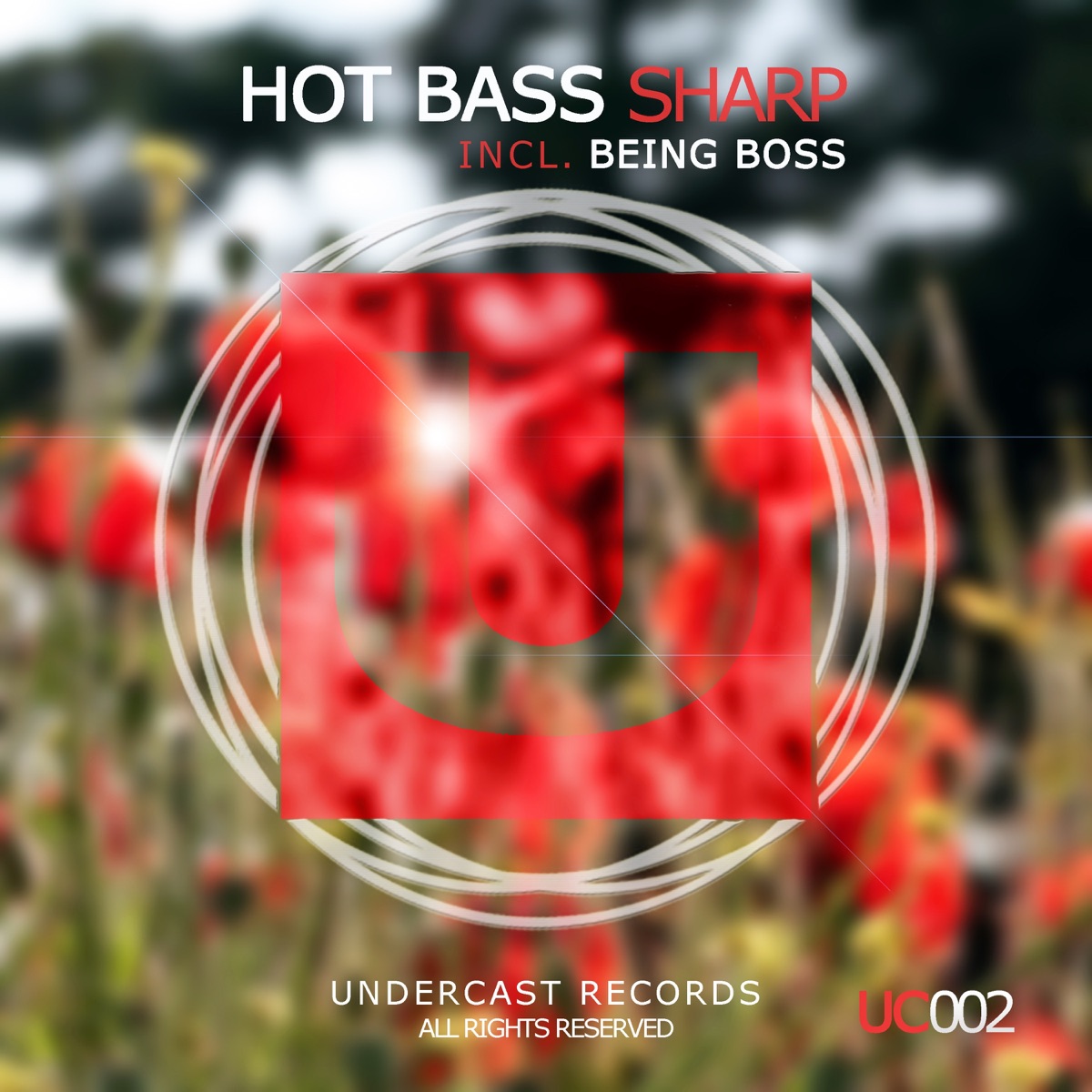 Sharp - Single by Hot Bass album cover