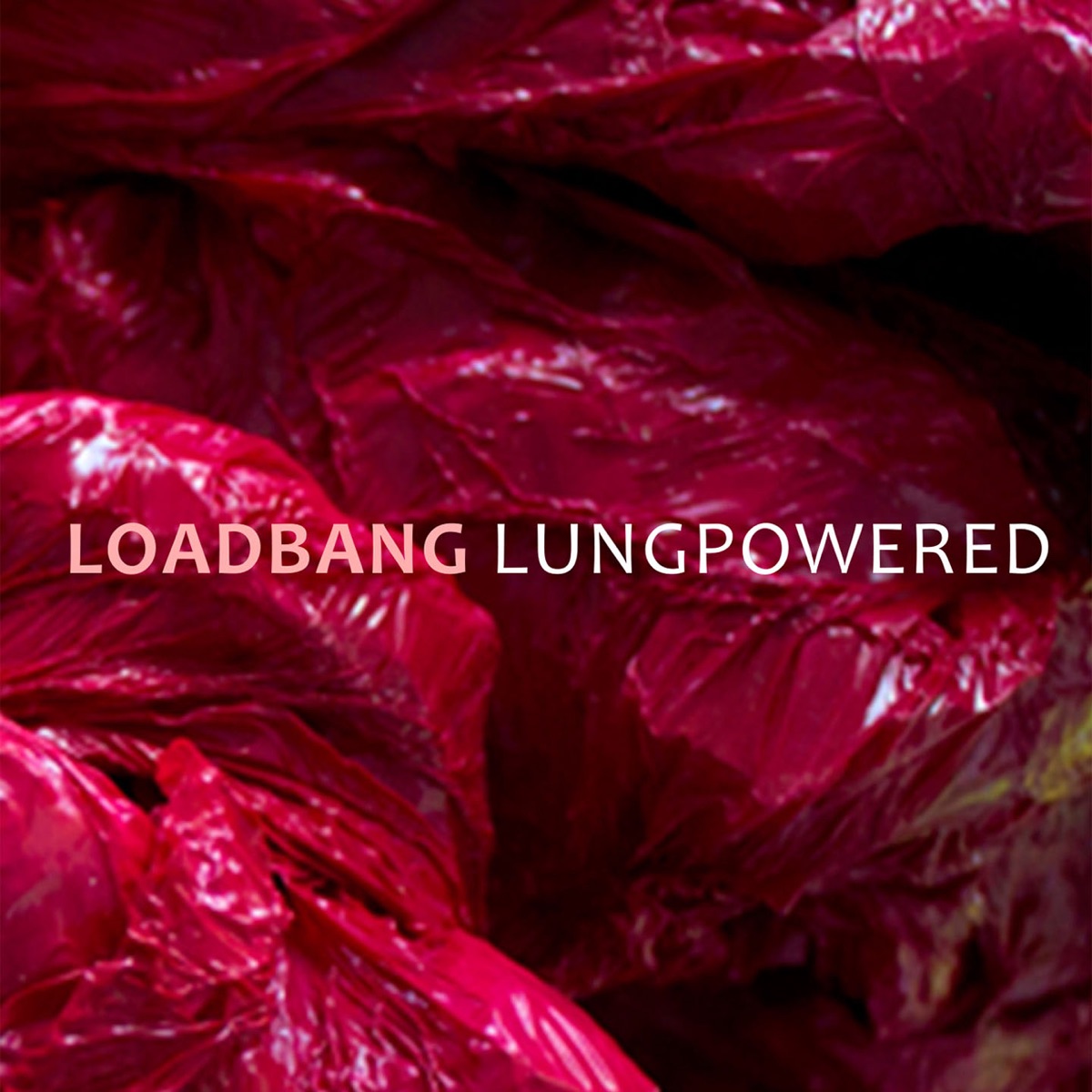 Lungpowered by Loadbang album cover