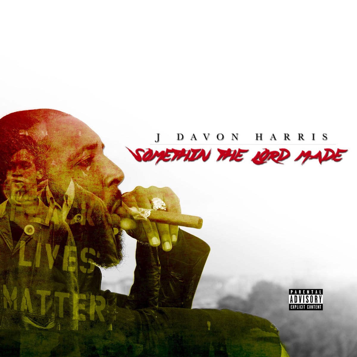 Somethin the Lord Made, Vol. 1 by J DaVon Harris album cover