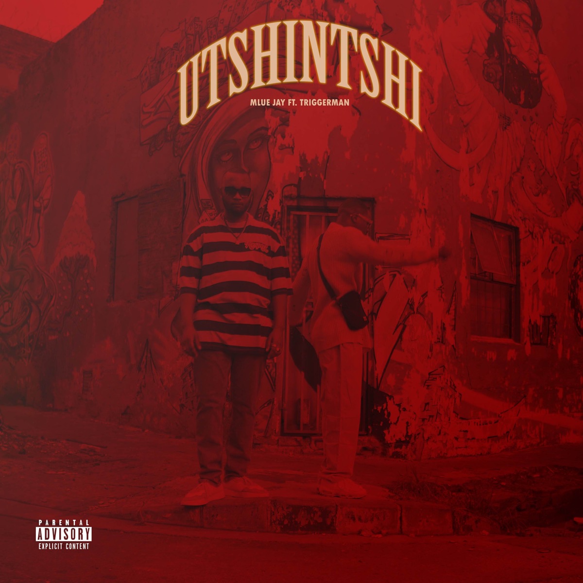 Utshintshi (feat. Triggerman) - Single by Mlue Jay album cover