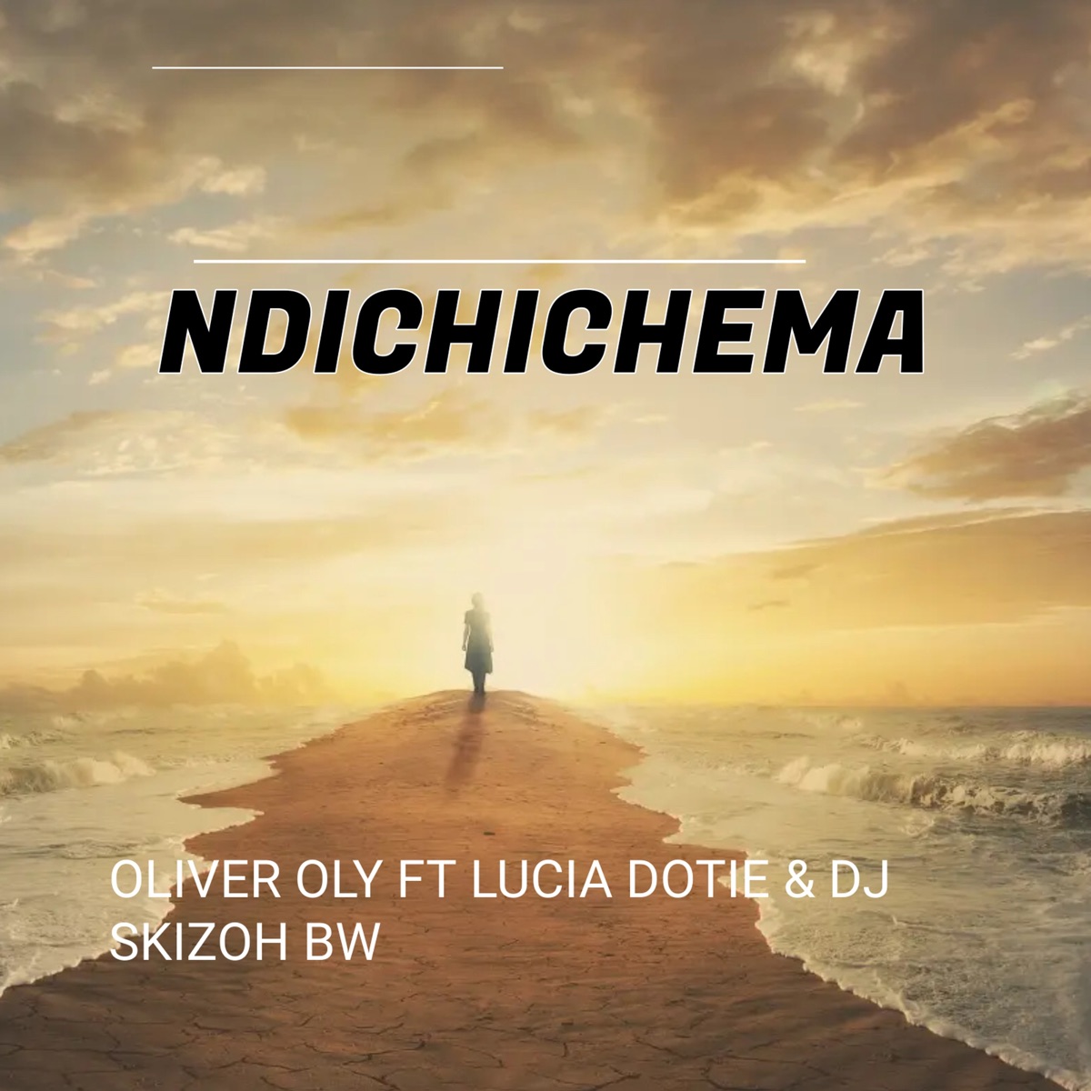 Ndichichema - Single by Oliver Oly, Lucia Dottie & skizoh BW album cover