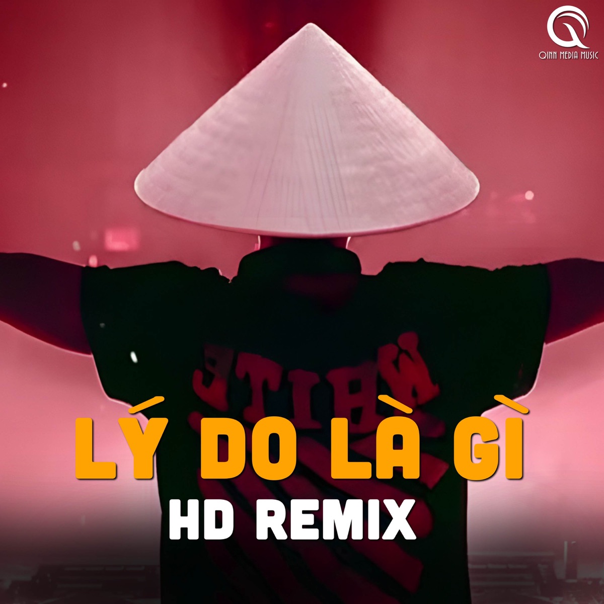 Lý Do Là Gì (HD Remix) - Single by Qinn Media & Nguyễn Vĩ album cover