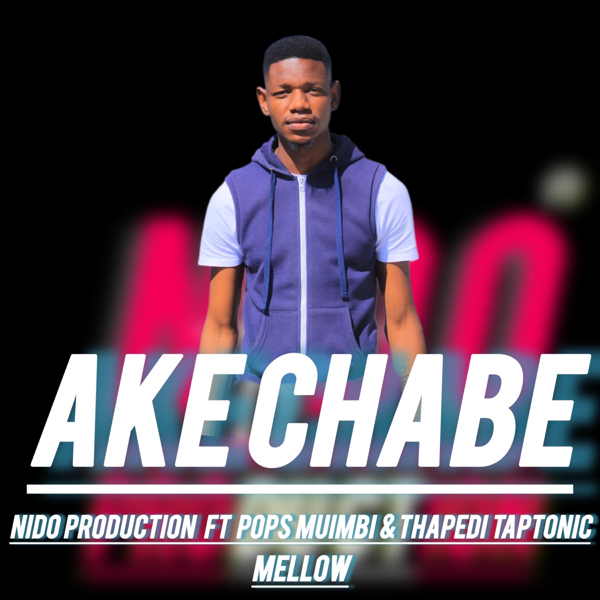 AKE CHABE (feat. Pops muimbi, Thapedi taptonic & Mellow) - Single by Nido production album cover