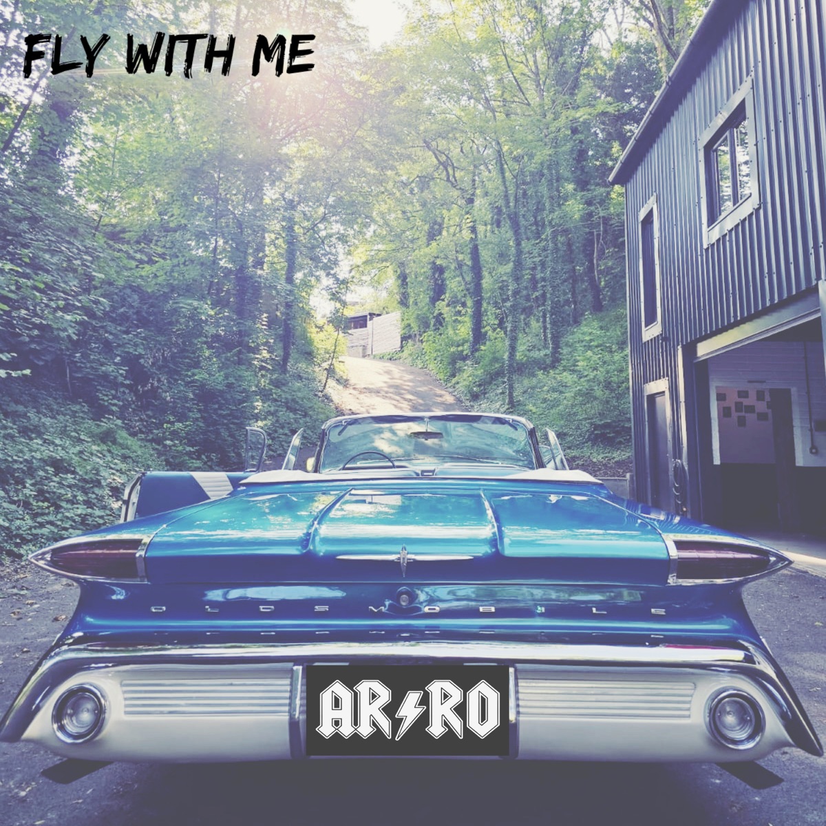 Fly with Me - Single by >aRRO album cover