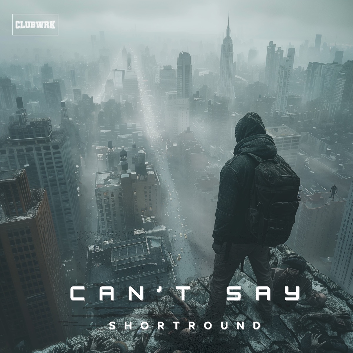 Can't Say - Single by ShortRound & CLUBWRK album cover