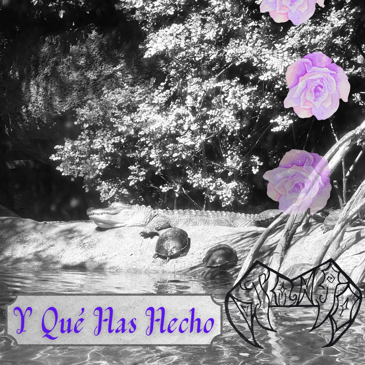 Y Qué Has Hecho - Single by Django album cover