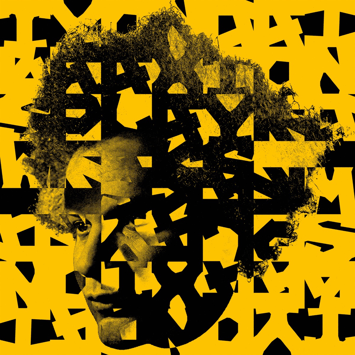 Splayed Werks by Tyondai Braxton album cover