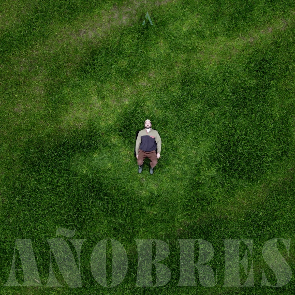 Añobres - Single by Alana album cover