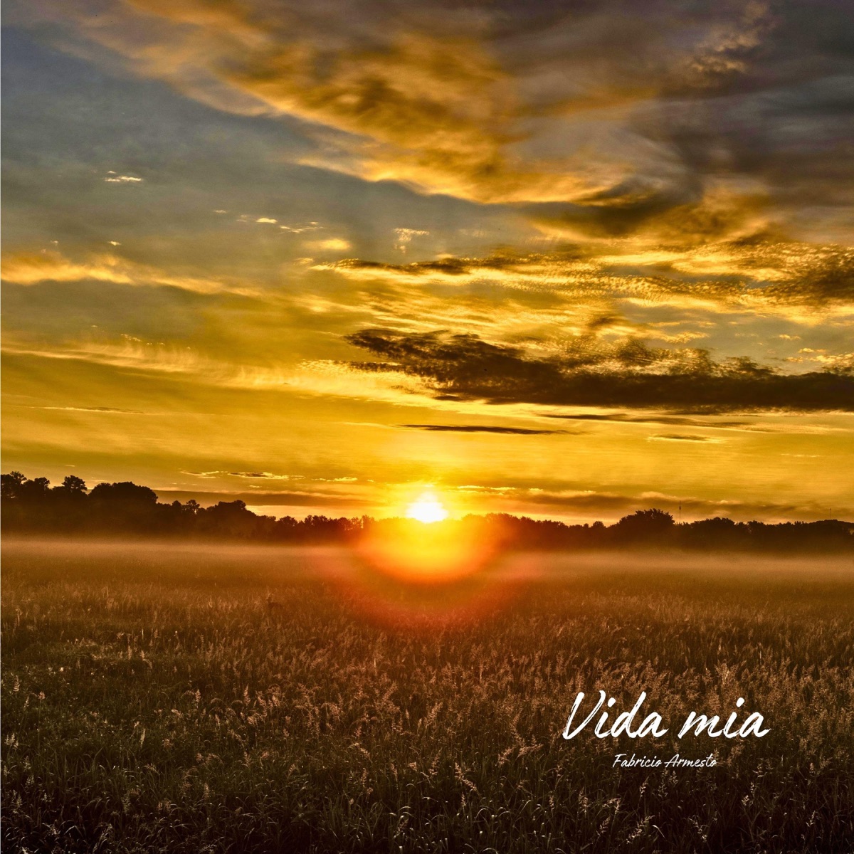 Vida mia (feat. Joaquín González) - Single by Fabricio Armesto album cover