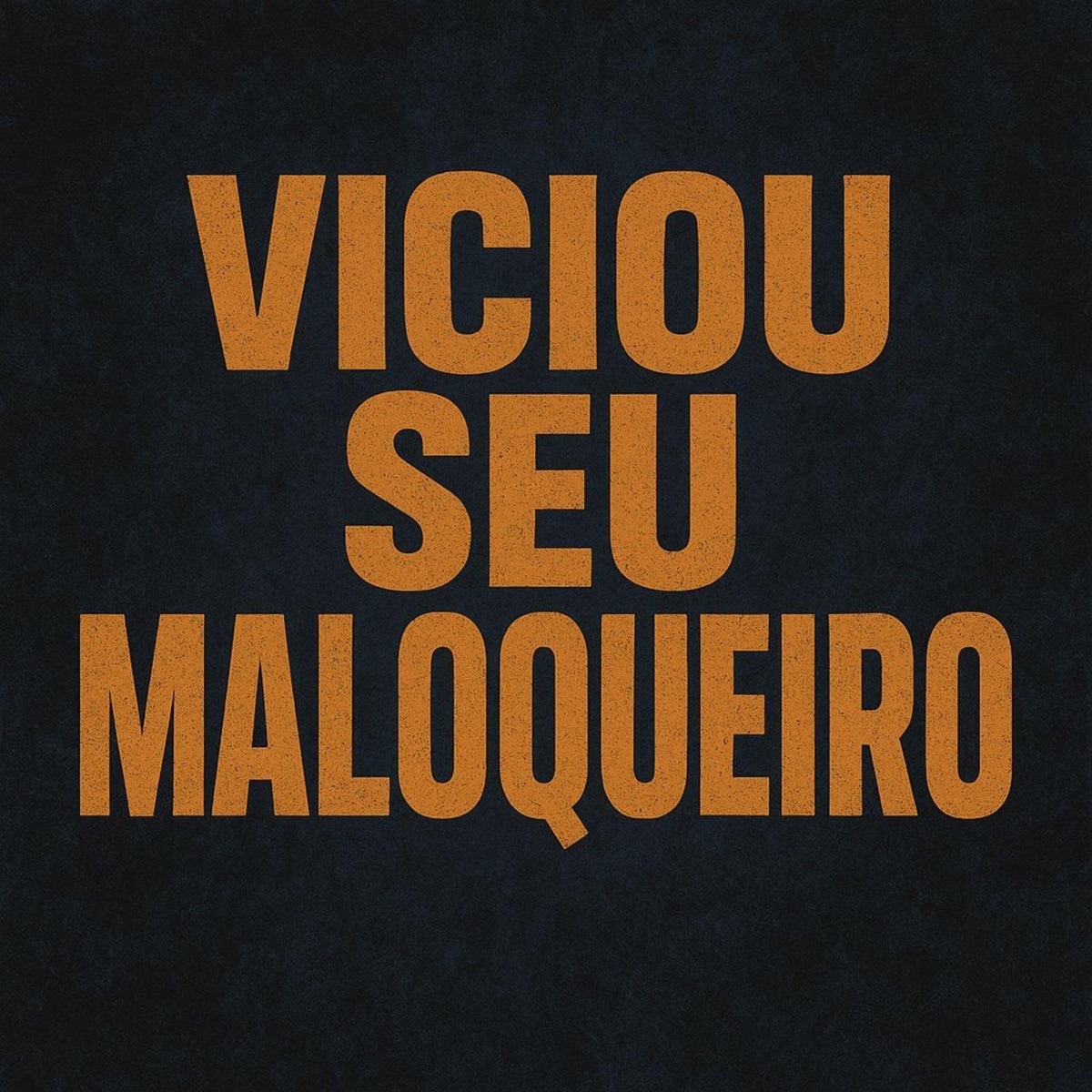 Viciou Seu Maloqueiro (feat. DJ VINI MS) - Single by MC Mateus Roger ofc album cover
