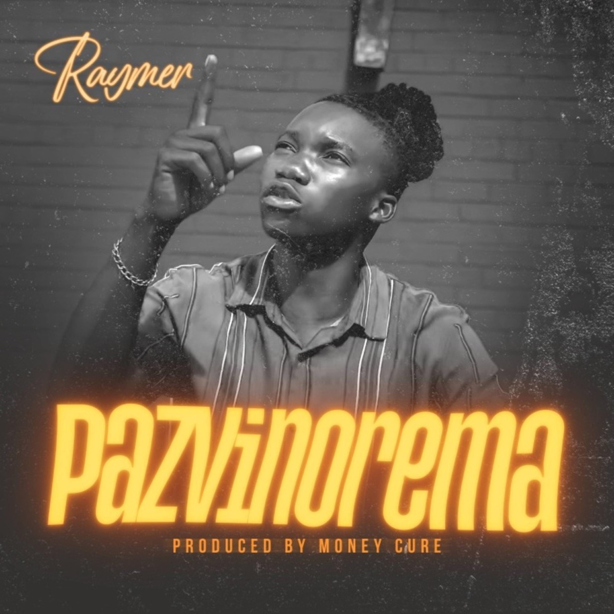Pazvinorema - Single by Raymer album cover