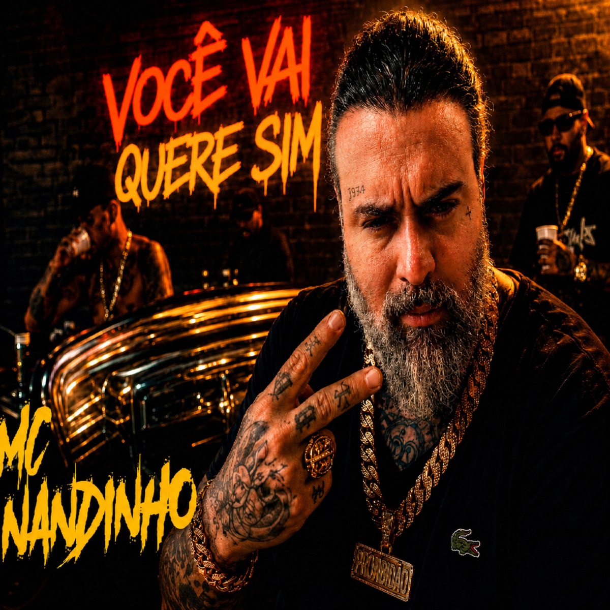 Você Vai Quere Sim - Single by MC Nandinho album cover