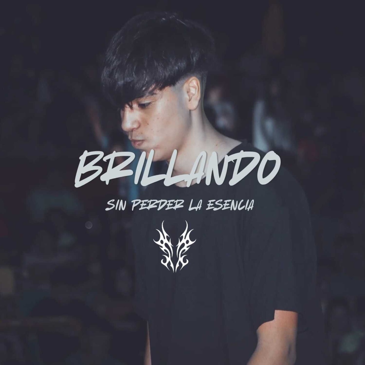 Brillando sin Perder la Esencia - Single by Lgd & ANKO album cover