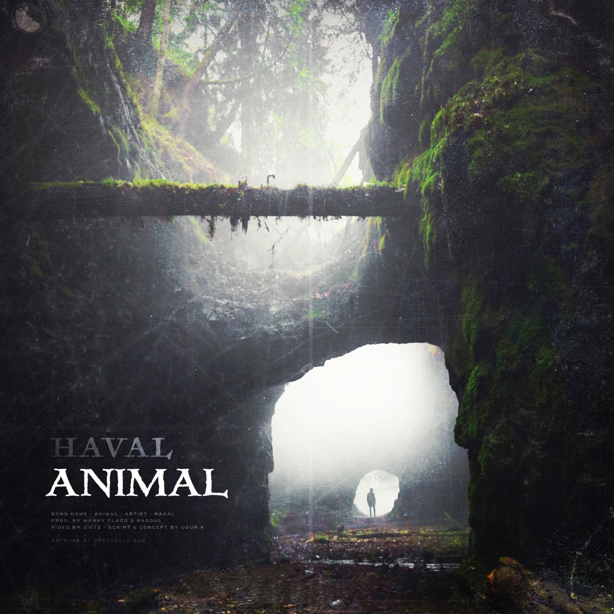 ANIMAL - Single by Haval album cover
