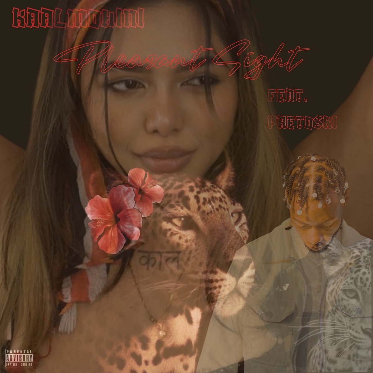 Pleasant Sight (feat. Pretoski) - Single by KAALMOHINI album cover