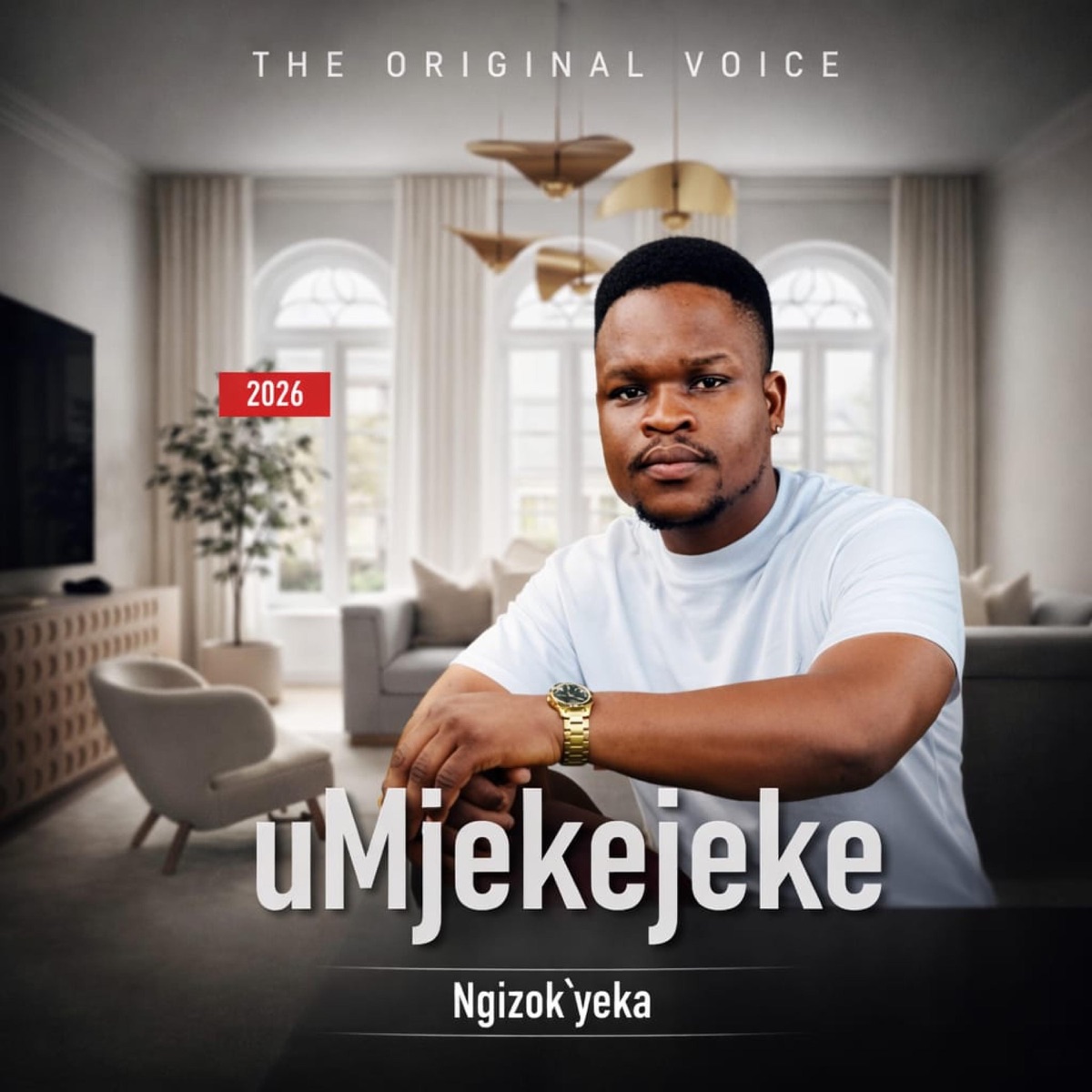 NGIZOKUYEKA (feat. MALUME) - Single by UMJEKEJEKE album cover