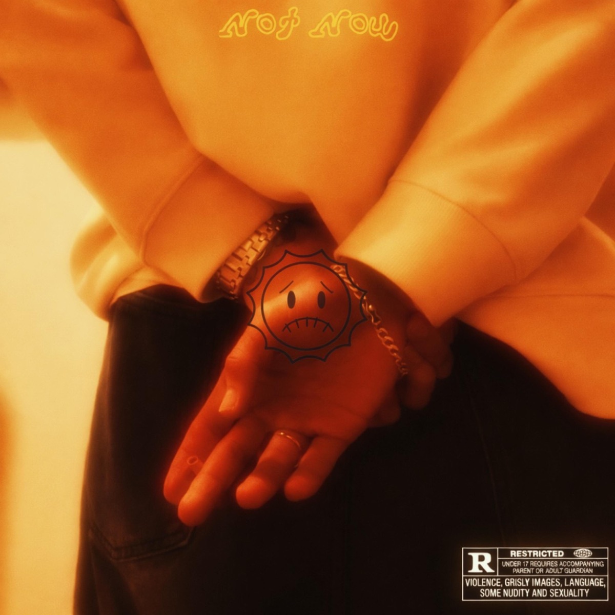 Not Now - Single by Livay album cover
