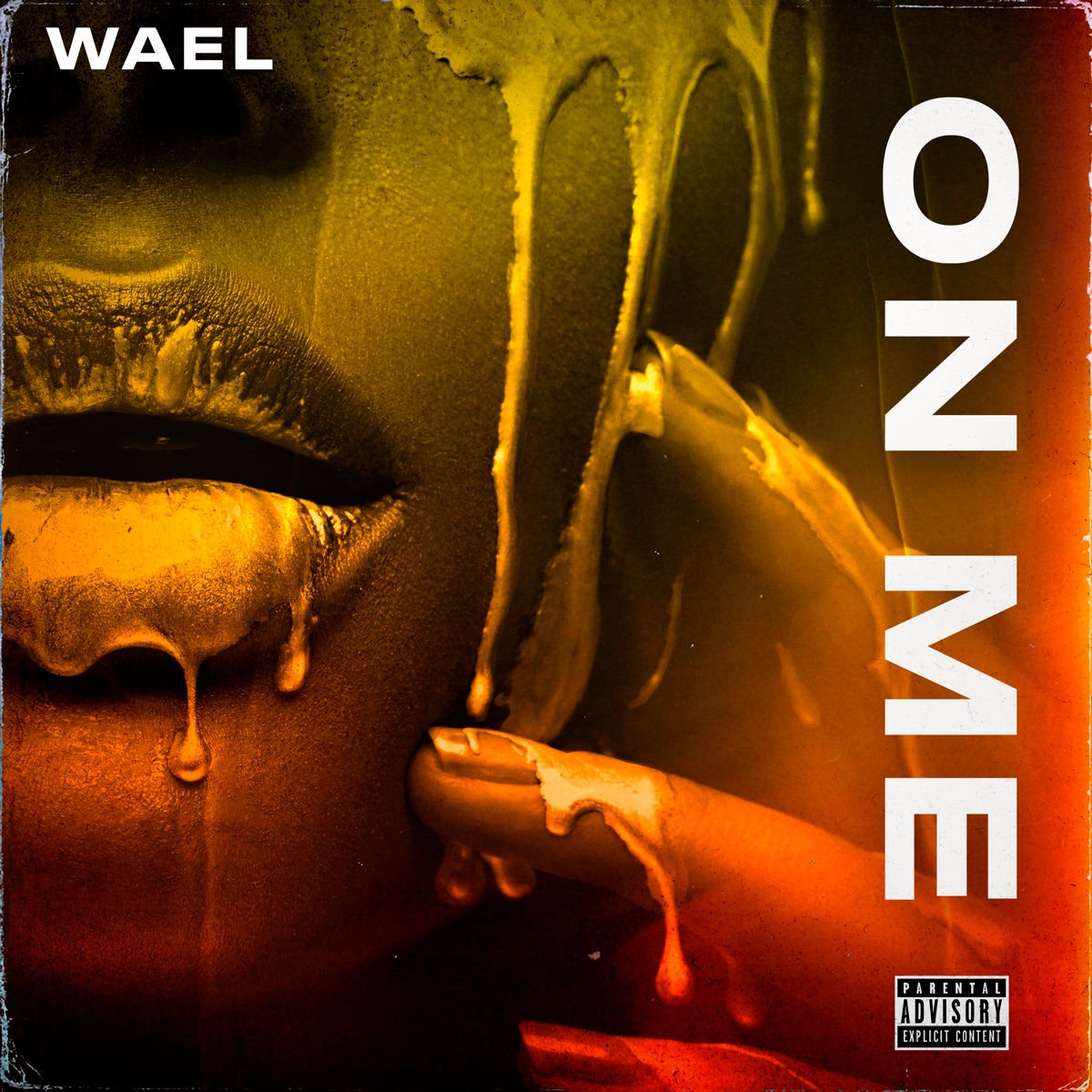 On Me - Single by Wael album cover