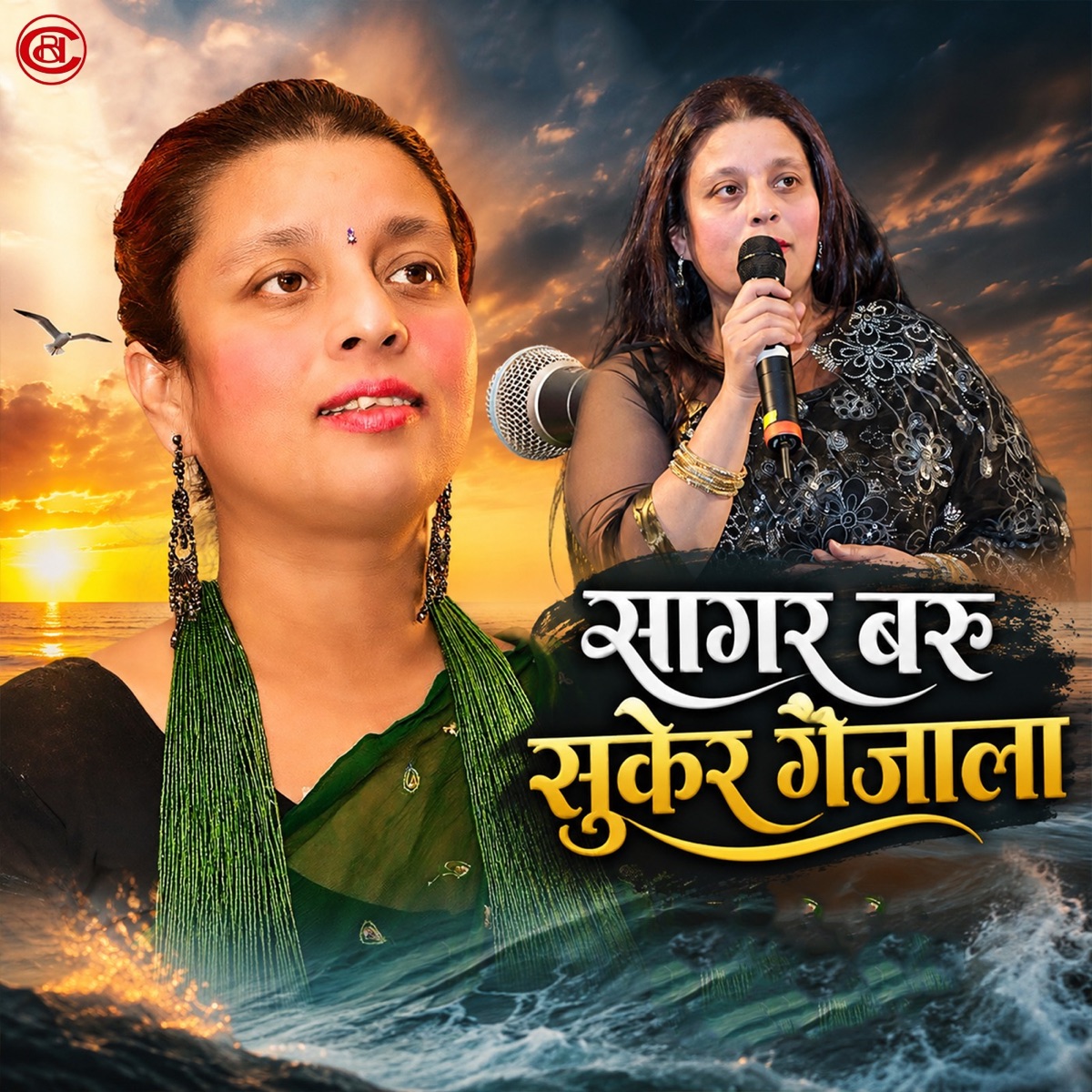 Sagar Baru Sukera Gaijala - Single by Sapana Shree album cover