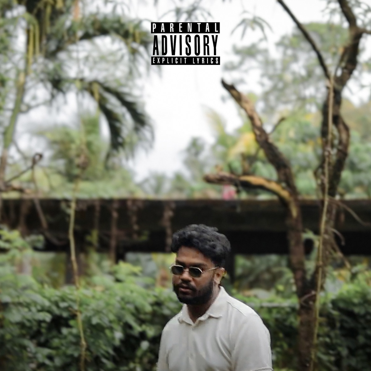 Sal - Single by Lashan album cover