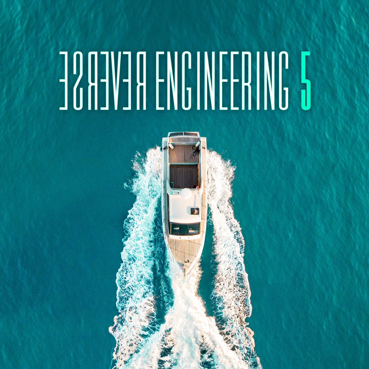 Reverse Engineering 5 by Mel Wesson & Nine One One album cover