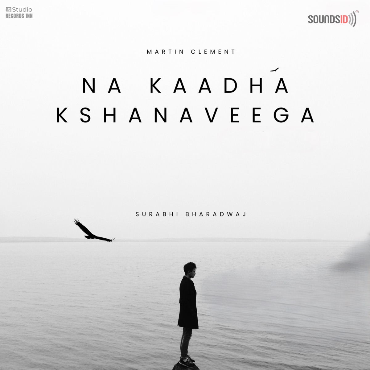 Na Kaadha Kshanaveega - Single by Surabhi Bharadwaj & Martin Clement album cover