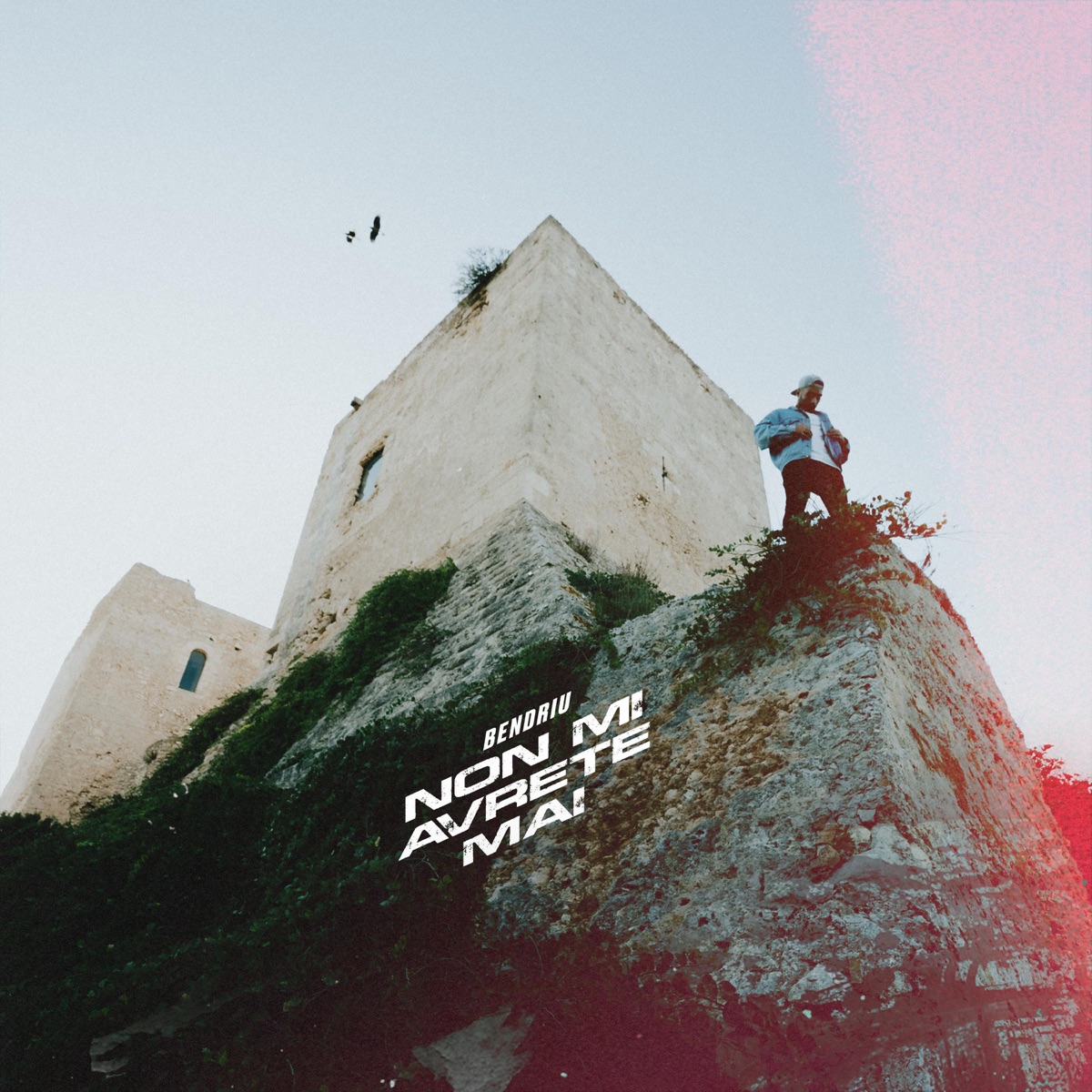 Non mi avrete mai - Single by Bendriu album cover