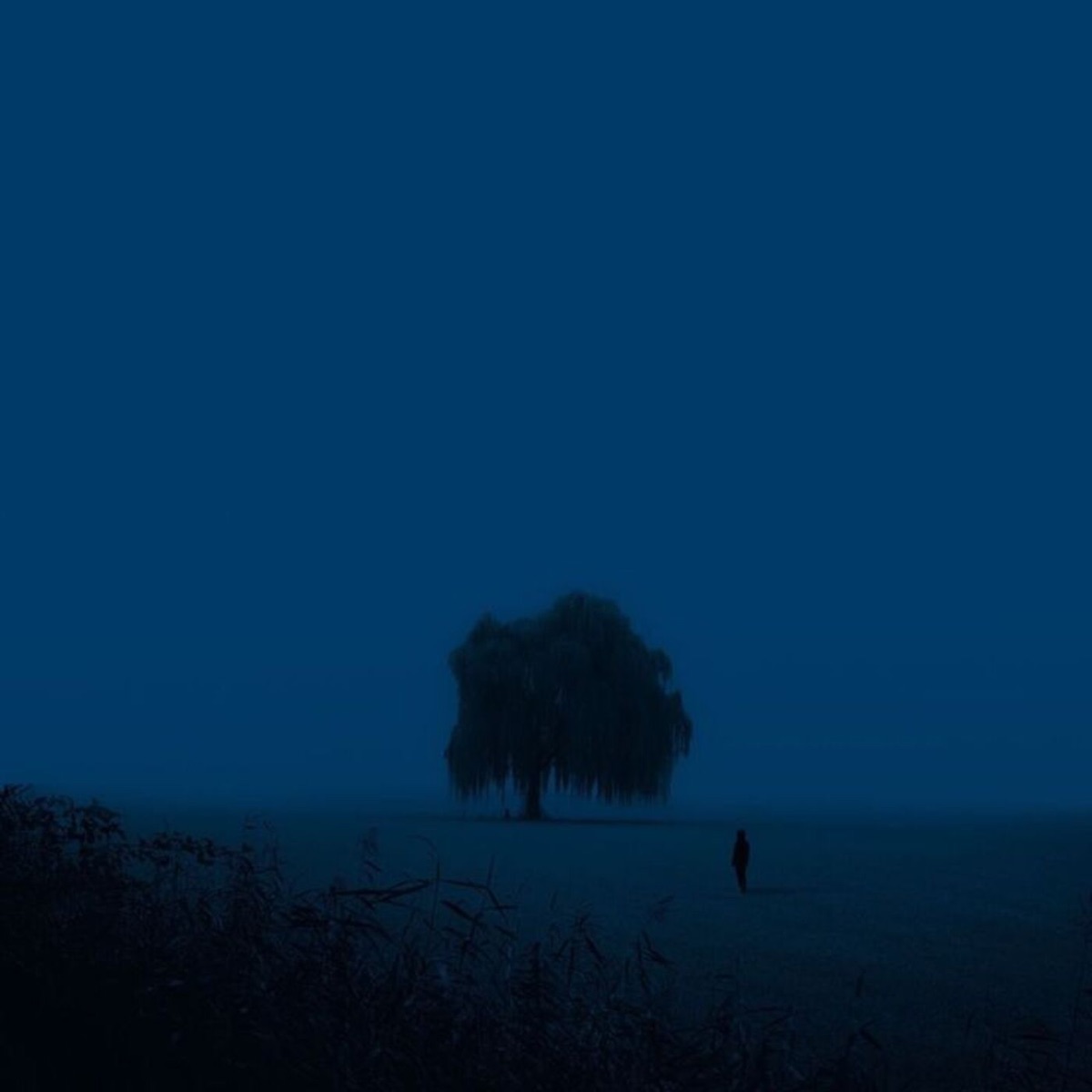 dark night - Single by fØlkrite & shizocxz album cover